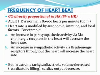 FREQUENCY OF HEART BEAT
 CO directly proportional to HR (SV x HR)
 Adult HR is normally 80-100 beats per minute (bpm.)
 Heart rate is modified by autonomic, immune, and local
factors. For example:
a. An increase in parasympathetic activity via M2
cholinergic receptors in the heart will decrease the
heart rate.
b. An increase in sympathetic activity via B1 adrenergic
receptors throughout the heart will increase the heart
rate.
 But In extreme tachycardia, stroke volume decreased
(less diastolic filling), cardiac output decrease.
 