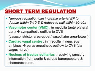 SHORT TERM REGULATION
 Nervous regulation can increase arterial BP to
double within 5-10 S & reduce to half within 10-40s
 Vasomotor center (VMC) : in medulla (anterolateral
part)  sympathetic outflow to CVS
(vasoconstrictor area-upper/ vasodilator area-lower )
 Cardiac vagal centre : in medulla in neucleus
ambigus  parasympathetic outflow to CVS (via
vagus nerve)
 Nucleus of tractus solitarius : receiving sensory
information from aortic & carotid baroreceptors &
chemoreceptors.
 