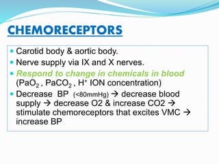 CHEMORECEPTORS
 Carotid body & aortic body.
 Nerve supply via IX and X nerves.
 Respond to change in chemicals in blood
(PaO2 , PaCO2 , H+ ION concentration)
 Decrease BP (<80mmHg)  decrease blood
supply  decrease O2 & increase CO2 
stimulate chemoreceptors that excites VMC 
increase BP
 