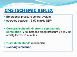 CNS ISCHEMIC REFLEX
 Emergency pressure control system
 operates between 15-50 mmHg SBP
 Cerebral ischemia  strong sympathetic
stimulation  to increase blood pressure up to 250
mmHg for 10-15 minutes.
 “Last ditch stand” mechanism
 Cushing’s reaction
 