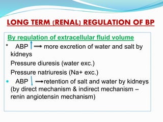 LONG TERM (RENAL) REGULATION OF BP
By regulation of extracellular fluid volume
* ABP more excretion of water and salt by
kidneys
Pressure diuresis (water exc.)
Pressure natriuresis (Na+ exc.)
 ABP retention of salt and water by kidneys
(by direct mechanism & indirect mechanism –
renin angiotensin mechanism)
 