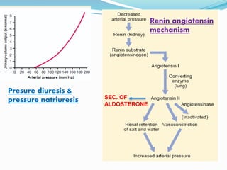 SEC. OF
ALDOSTERONE
Renin angiotensin
mechanism
Presure diuresis &
pressure natriuresis
 
