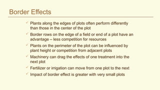 Border Effects
 Plants along the edges of plots often perform differently
than those in the center of the plot
 Border rows on the edge of a field or end of a plot have an
advantage – less competition for resources
 Plants on the perimeter of the plot can be influenced by
plant height or competition from adjacent plots
 Machinery can drag the effects of one treatment into the
next plot
 Fertilizer or irrigation can move from one plot to the next
 Impact of border effect is greater with very small plots
 