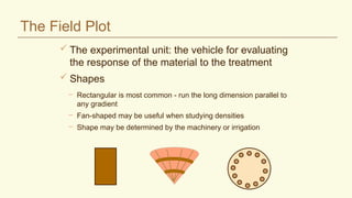 The Field Plot
 The experimental unit: the vehicle for evaluating
the response of the material to the treatment
 Shapes
– Rectangular is most common - run the long dimension parallel to
any gradient
– Fan-shaped may be useful when studying densities
– Shape may be determined by the machinery or irrigation
 