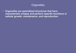Organelles Organelles are specialized structures that have characteristic shapes and perform specific functions in cellular growth, maintenance, and reproduction. 