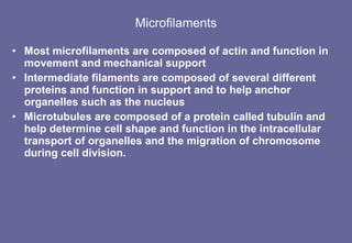 Microfilaments Most microfilaments are composed of actin and function in movement and mechanical support  Intermediate filaments are composed of several different proteins and function in support and to help anchor organelles such as the nucleus Microtubules are composed of a protein called tubulin and help determine cell shape and function in the intracellular transport of organelles and the migration of chromosome during cell division. 