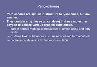 Perioxosomes Peroxisomes  are similar in structure to lysosomes, but are smaller. They contain enzymes (e.g., catalase) that use molecular oxygen to oxidize various organic substances. part of normal metabolic breakdown of amino acids and fatty acids oxidizes toxic substances such as alcohol and formaldehyde contains catalase which decomposes H2O2 