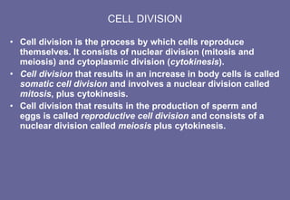 CELL DIVISION Cell division is the process by which cells reproduce themselves. It consists of nuclear division (mitosis and meiosis) and cytoplasmic division ( cytokinesis ). Cell division  that results in an increase in body cells is called  somatic cell division  and involves a nuclear division called  mitosis , plus cytokinesis.  Cell division that results in the production of sperm and eggs is called  reproductive cell division  and consists of a nuclear division called  meiosis  plus cytokinesis. 