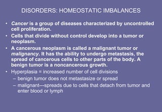 DISORDERS: HOMEOSTATIC IMBALANCES Cancer  is a group of diseases characterized by uncontrolled cell proliferation. Cells that divide without control develop into a tumor or neoplasm. A cancerous neoplasm is called a malignant tumor or  malignancy . It has the ability to undergo metastasis, the spread of cancerous cells to other parts of the body. A benign tumor is a noncancerous growth. Hyperplasia = increased number of cell divisions benign tumor does not metastasize or spread malignant---spreads due to cells that detach from tumor and enter blood or lymph 
