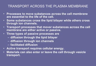 TRANSPORT ACROSS THE PLASMA MEMBRANE Processes to move substances across the cell membrane are essential to the life of the cell. Some substances cross the lipid bilayer while others cross through ion channels. Transport processes that mover substances across the cell membrane are either active or passive. Three types of passive processes are  diffusion through the lipid bilayer diffusion through ion channels facilitated diffusion Active transport requires cellular energy. Materials can also enter or leave the cell through vesicle transport. 