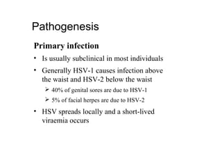 Primary infection
• Is usually subclinical in most individuals
• Generally HSV-1 causes infection above
the waist and HSV-2 below the waist
 40% of genital sores are due to HSV-1
 5% of facial herpes are due to HSV-2
• HSV spreads locally and a short-lived
viraemia occurs
Pathogenesis
 