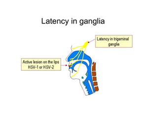 Latency in ganglia
 