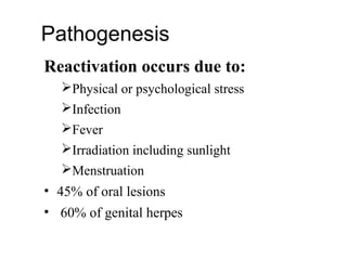 Pathogenesis
Reactivation occurs due to:
Physical or psychological stress
Infection
Fever
Irradiation including sunlight
Menstruation
• 45% of oral lesions
• 60% of genital herpes
 