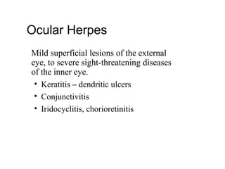 Ocular Herpes
Mild superficial lesions of the external
eye, to severe sight-threatening diseases
of the inner eye.
• Keratitis – dendritic ulcers
• Conjunctivitis
• Iridocyclitis, chorioretinitis
 