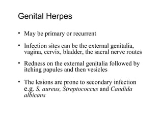 Genital Herpes
• May be primary or recurrent
• Infection sites can be the external genitalia,
vagina, cervix, bladder, the sacral nerve routes
• Redness on the external genitalia followed by
itching papules and then vesicles
• The lesions are prone to secondary infection
e.g. S. aureus, Streptococcus and Candida
albicans
 