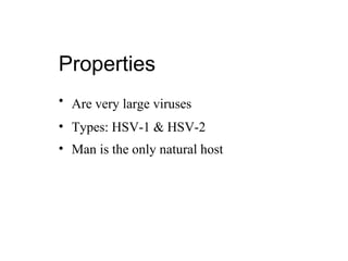 Properties
• Are very large viruses
• Types: HSV-1 & HSV-2
• Man is the only natural host
 