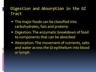 Digestion and Absorption in the GI Tract The major foods can be classified into carbohydrates, fats and proteins Digestion: The enzymatic breakdown of food to components that can be absorbed Absorption: The movement of nutrients, salts and water across the GI epithelium into blood or lymph 