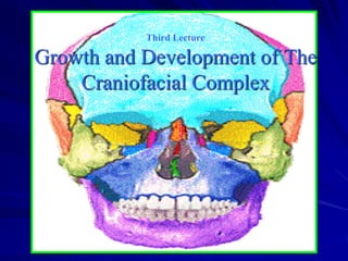 Third Lecture

Growth and Development of The
Craniofacial Complex

 