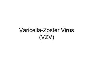 Varicella-Zoster Virus
(VZV)
 
