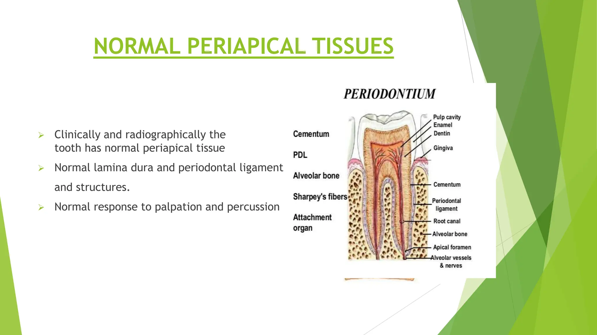 LECT#4 1Pulpal and periradicular pathosis 2.pptx