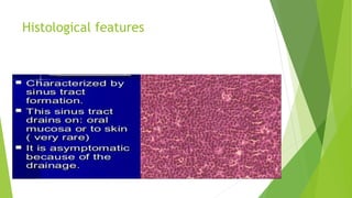 Histological features
 