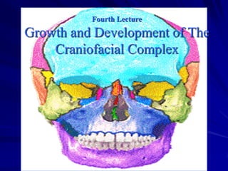 Fourth Lecture

Growth and Development of The
Craniofacial Complex

 