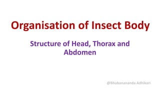 Organisation of Insect Body
Structure of Head, Thorax and
Abdomen
@Bhubanananda Adhikari
 