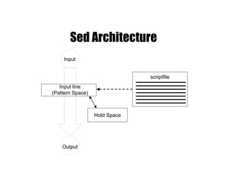 Sed Architecture
scriptfile
Input
Output
Input line
(Pattern Space)
Hold Space
 