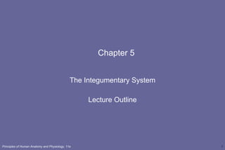 Chapter 5 The Integumentary System Lecture Outline 