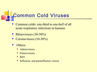Common Cold Viruses
 Common colds: one-third to one-half of all
acute respiratory infections in humans
 Rhinoviruses (30...