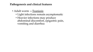 Pathogenesis and clinical features
• Adult worm —Teaniasis
• Light infections remain asymptomatic
• Heavier infections may produce
abdominal discomfort, epigastric pain,
vomiting and diarrhea
 
