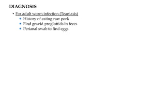 DIAGNOSIS
• For adult worm infection (Teaniasis)
＊ History of eating raw pork
＊ Find gravid proglottids in feces
＊ Perianal swab to find eggs
 