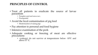 PRINCIPLES OF CONTROL
• Treat all patients to eradicate the source of larvae
parasitism
• Pumpkin seed and areca nut ;
• Praziquantel
• Avoid the fecal contamination of pig feed
• Modernization of raising pigs
• Pay attention to personal and food hygiene
• Intensive examination of the pork
• Adequate cooking or freezing of meat are effective
precautions
• cysticerci do not survive at temperatures below -10℃ and
above 57 ℃.
 