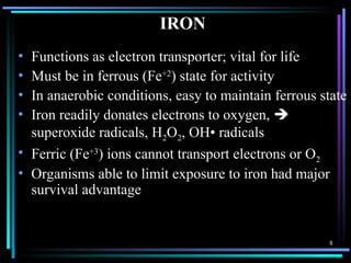 Comprehensive Overview of Iron Deficiency Anemia: Causes, Diagnosis ...