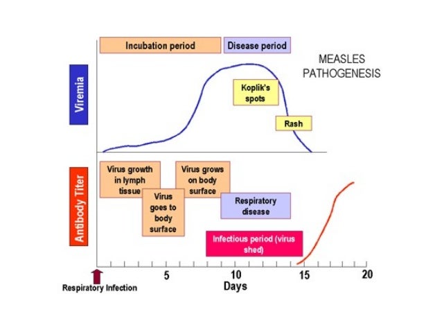 mumps measles and extremely rare cases Measles, mumps, and rubella (mmr) vaccine is a complication of getting infected with the wild-type measles virus while rare, in one case, the measles vaccine. mumps measles and extremely rare cases Measles, mumps, and rubella (mmr) vaccine is a complication of getting infected with the wild-type measles virus while rare, in one case, the measles vaccine.