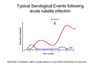 Typical Serological Events following
acute rubella infection
Note that in reinfection, IgM is usually absent or only present transiently at a low level
 