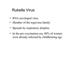Rubella Virus
• RNA enveloped virus
• Member of the togavirus family
• Spreads by respiratory droplets
• In the pre-vaccination era, 80% of women
were already infected by childbearing age
 