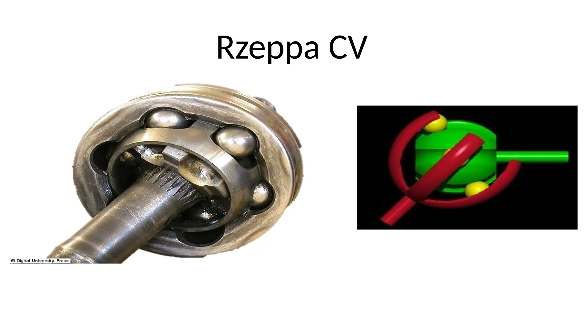 Rzeppa CV
 