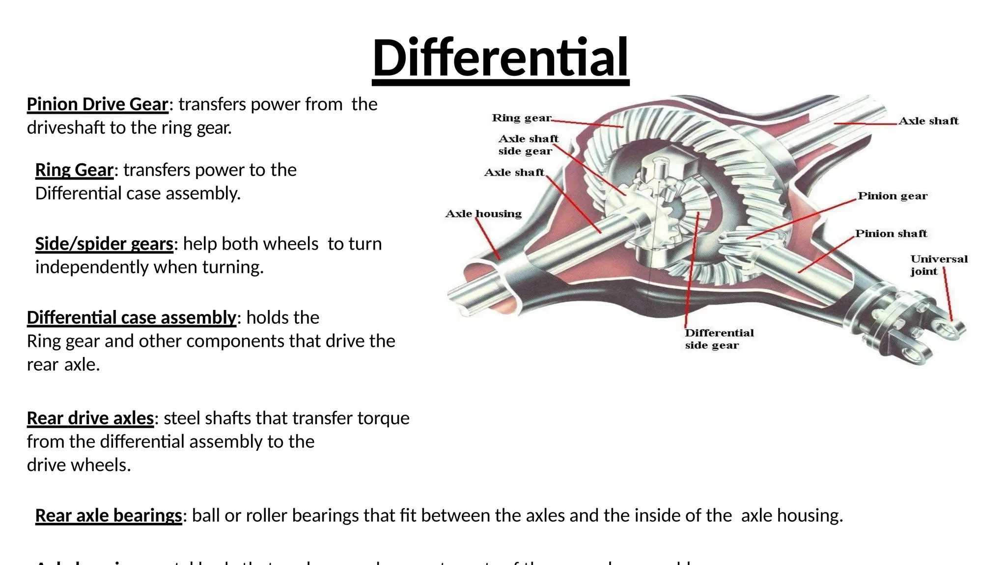 Differential
Pinion Drive Gear: transfers power from the
driveshaft to the ring gear.
Ring Gear: transfers power to the
Differential case assembly.
Side/spider gears: help both wheels to turn
independently when turning.
Differential case assembly: holds the
Ring gear and other components that drive the
rear axle.
Rear drive axles: steel shafts that transfer torque
from the differential assembly to the
drive wheels.
Rear axle bearings: ball or roller bearings that fit between the axles and the inside of the axle housing.
 
