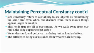 Maintaining Perceptual Constancy cont’d
 Size constancy refers to our ability to see objects as maintaining
the same size even when our distance from them makes things
appear larger or smaller.
 This holds true for all of our senses. As we walk away from our
radio, the song appears to get softer.
 We understand, and perceive it as being just as loud as before.
 The difference being our distance from what we are sensing.
 