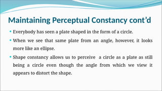 Maintaining Perceptual Constancy cont’d
 Everybody has seen a plate shaped in the form of a circle.
 When we see that same plate from an angle, however, it looks
more like an ellipse.
 Shape constancy allows us to perceive a circle as a plate as still
being a circle even though the angle from which we view it
appears to distort the shape.
 