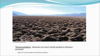 Figure 8.6 A texture gradient in Death Valley, California.
•Texture gradient - elements are more closely packed as distance
increases
 