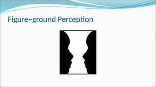 Figure–ground Perception
 
