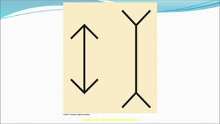 Figure 4.28 The Muller-Lyer illusion
 