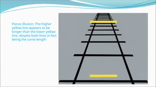 Ponzo Illusion: The higher
yellow line appears to be
longer than the lower yellow
line, despite both lines in fact
being the same length.
 