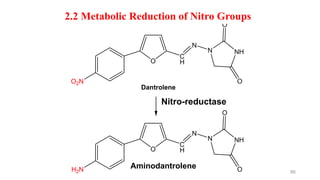 O Nh O2n Cl drug metabolism medicinal chemistry introduction | PPTX