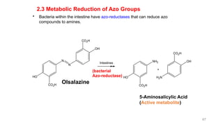 drug metabolism medicinal chemistry introduction | PPTX