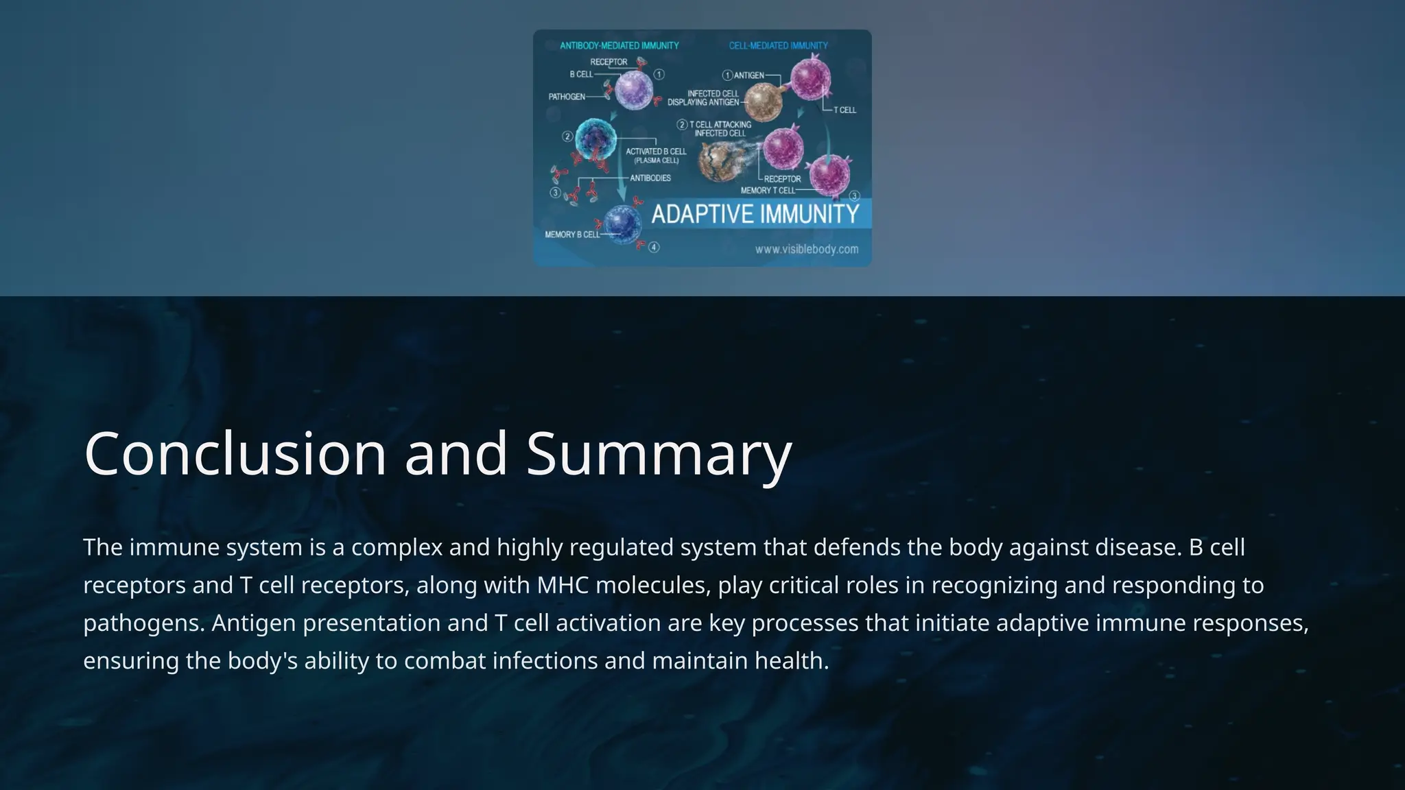 D
r. Vividha
Rauneka
Conclusion and Summary
The immune system is a complex and highly regulated system that defends the body against disease. B cell
receptors and T cell receptors, along with MHC molecules, play critical roles in recognizing and responding to
pathogens. Antigen presentation and T cell activation are key processes that initiate adaptive immune responses,
ensuring the body's ability to combat infections and maintain health.
 