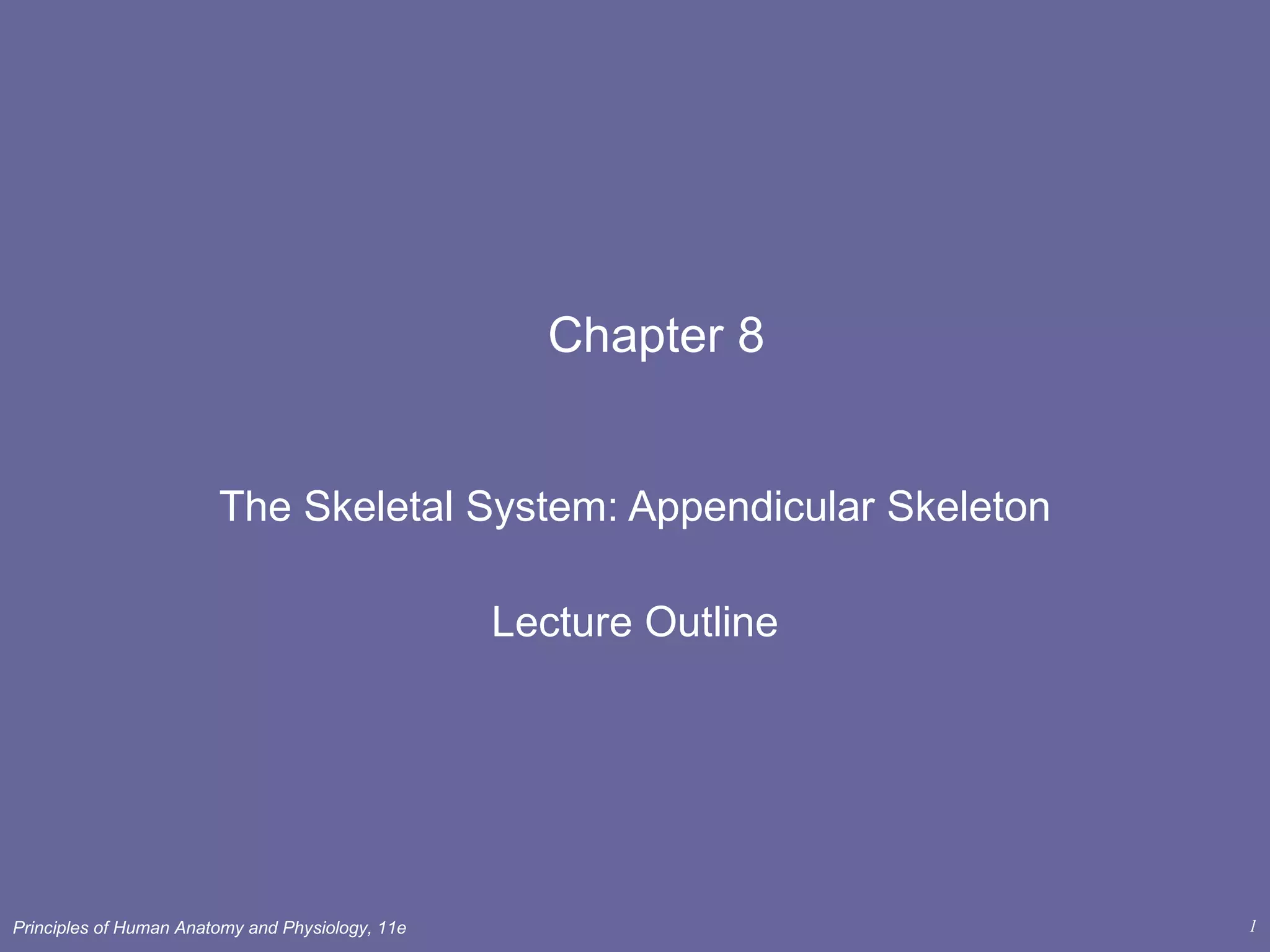 Chapter 8 The Skeletal System: Appendicular Skeleton Lecture Outline 