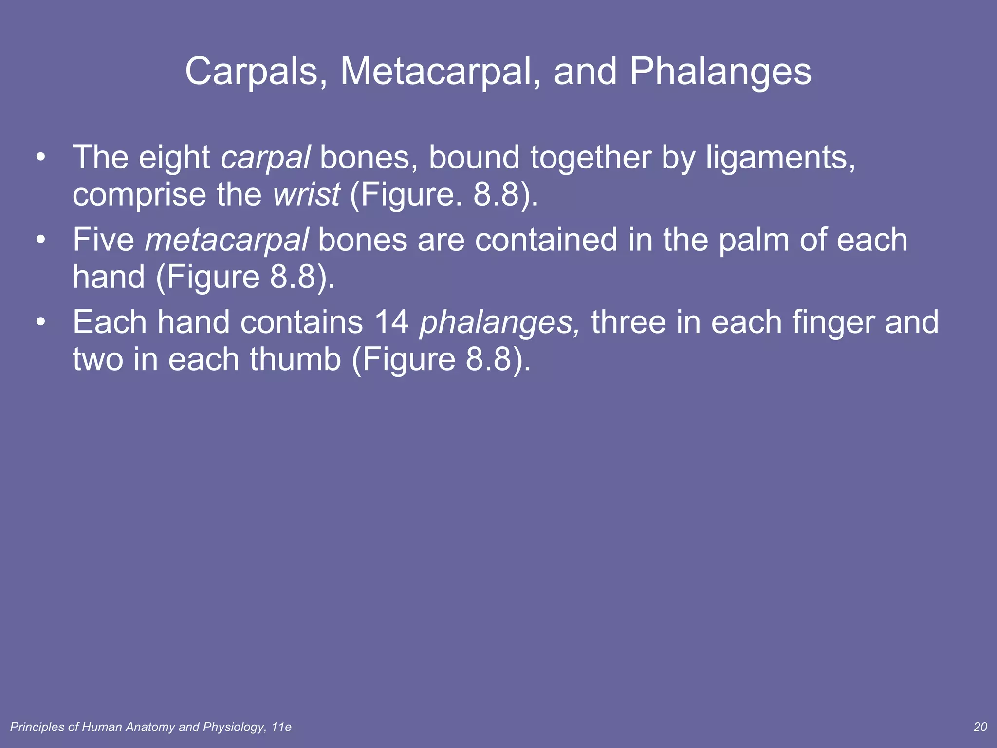 Carpals, Metacarpal, and Phalanges The eight  carpal  bones, bound together by ligaments, comprise the  wrist  (Figure. 8.8). Five  metacarpal  bones are contained in the palm of each hand (Figure 8.8). Each hand contains 14  phalanges,  three in each finger and two in each thumb (Figure 8.8). 
